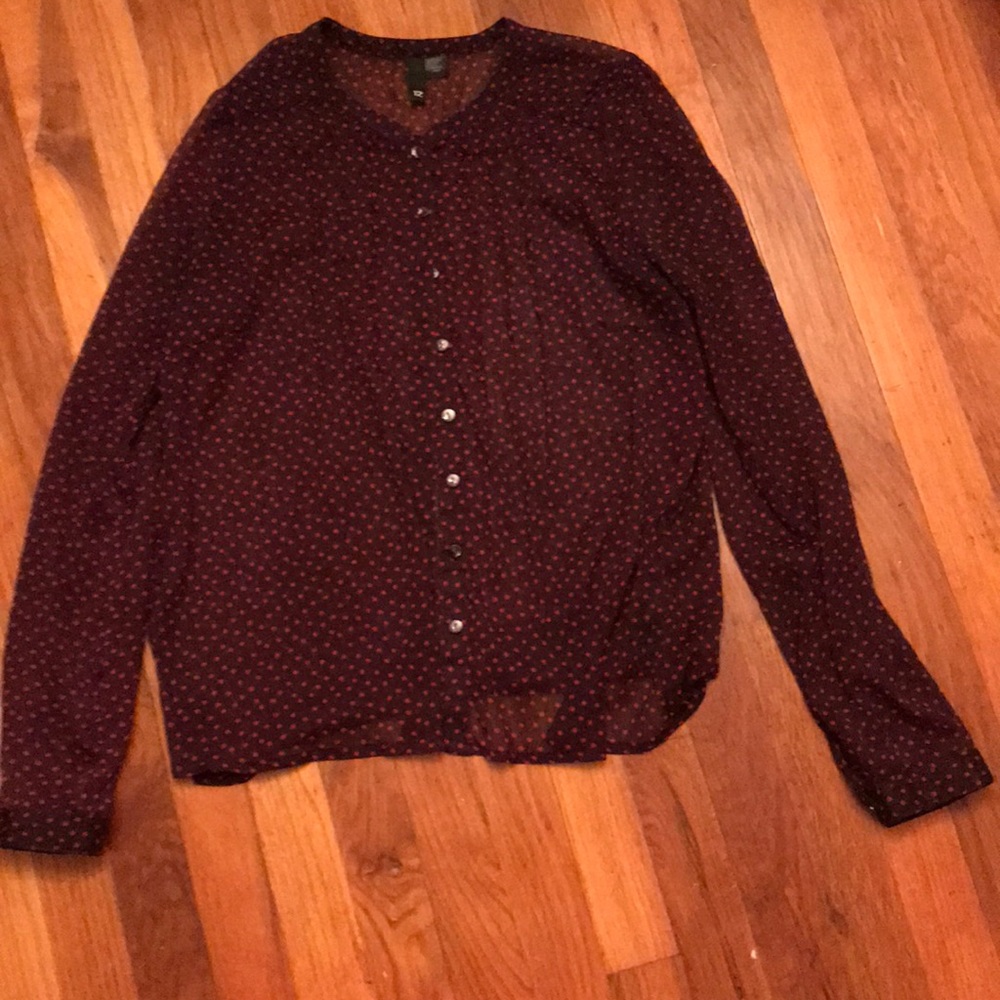 Divided Pleated Blouse